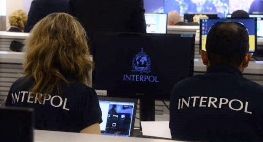 Nigeria helped seize $1.6 billion worth of illicit drugs, chemicals across 31 countries in two months- Interpol