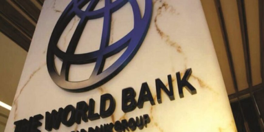 World Bank bans two Nigerians, one firm in March 2024 for corruption, fraud