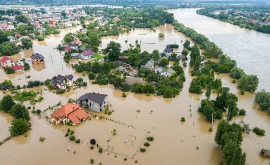 Flood destroys over 2500 houses and 1000 hectares of farmlands in Gombe state