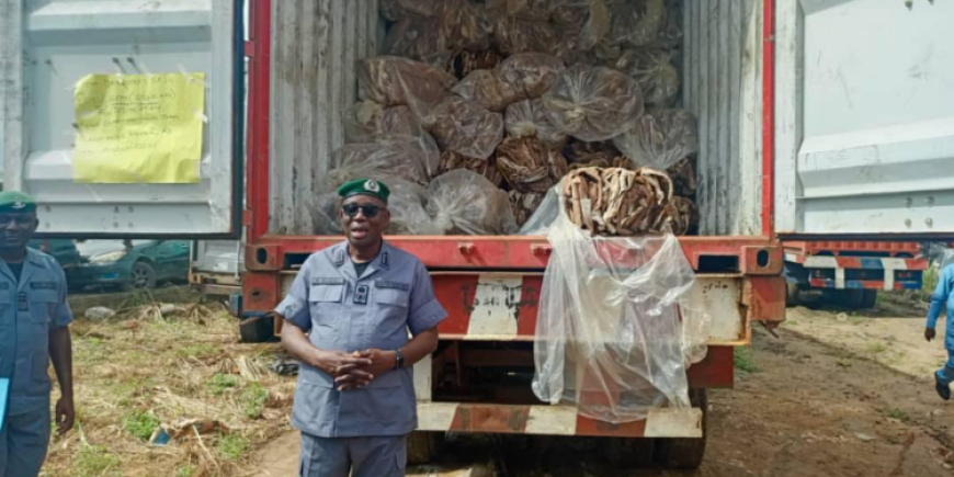 Nigeria Customs seizes N8 billion worth of smuggled donkey skins, others in July 2024