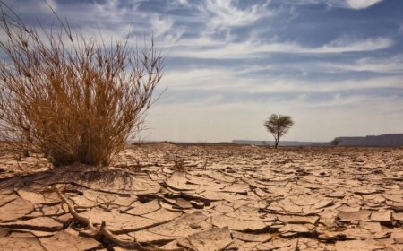 Climate shocks could cost Nigeria $2.4 billion to prevent household poverty, World Bank warns