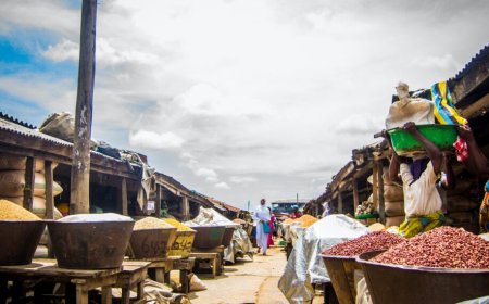 10 most expensive staple foods to buy in Nigeria in July 2024