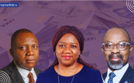 Meet the Chief Risk Officers (CROs) of Nigeria’s largest banks
