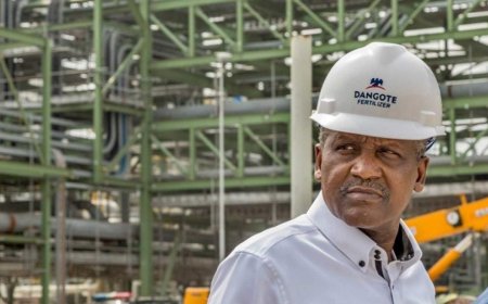 Dangote petrol ready for rollout