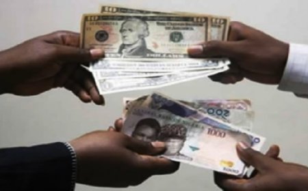 Forex crisis: Nigeria’s foreign trade payments crash by 57%