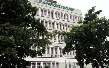 Fiscal and monetary authorities need to collaborate to promote growth- CIBN