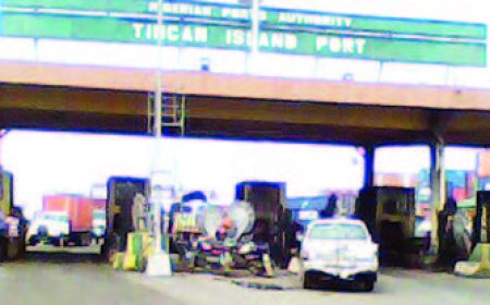 FG arranges N11bn concession of Tincan water system