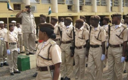 ivil Defence Board alerts public of fake Nigeria Immigration Service, Federal Fire Service recruitment notices