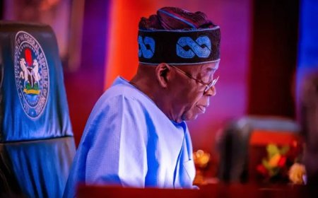 Private sector welcomes Tinubu’s plan to withdraw taxes on food