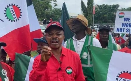 Petrol price hike: Labour demands reversal, set to meet