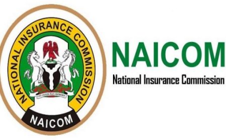 NAICOM inaugurates insurance industry recapitalisation committee