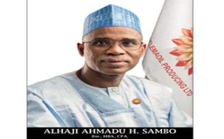 Belemaoil names new CEO, CFO