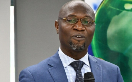 We approved crypto exchanges to encourage Nigerian youths’ participation in capital market – SEC