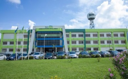 NiMet canvasses farmers’ insurance to boost food security
