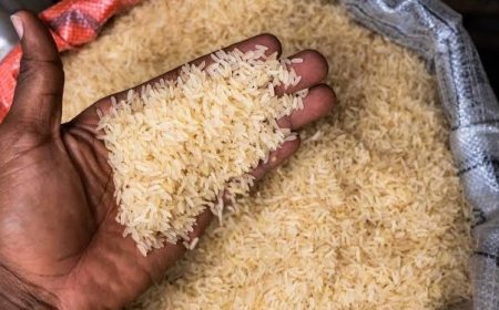 FG to use NIN for verification as it begins sale of 50kg rice at N40,000