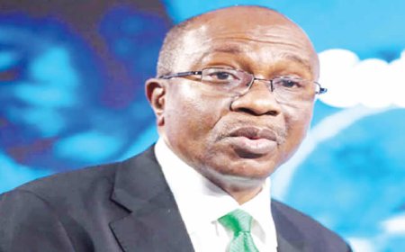 Emefiele tackles EFCC over $2.4m, Lagos, Delta assets forfeiture