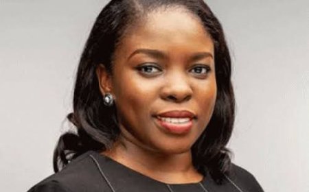 Lagos to monitor agric investments, says commissioner