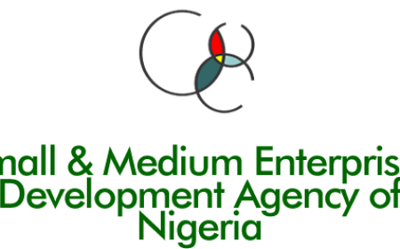 SMEs contribute 46.31% to GDP