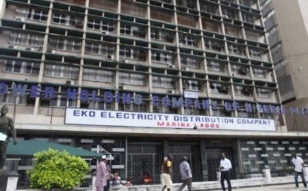 Security agencies, MDAs owe Eko Disco N42bn – BPE
