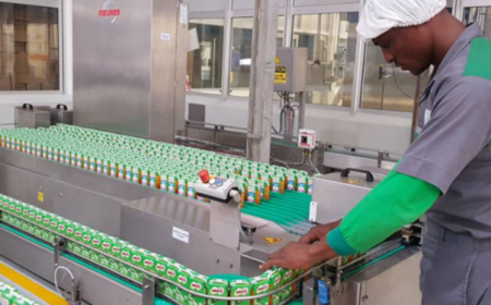 As multinationals exit, these Nigerian companies are spending billions on expansion projects in 2024