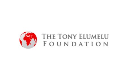 Elumelu Foundation empowered 8,000 African women in 10 years — Co-founder