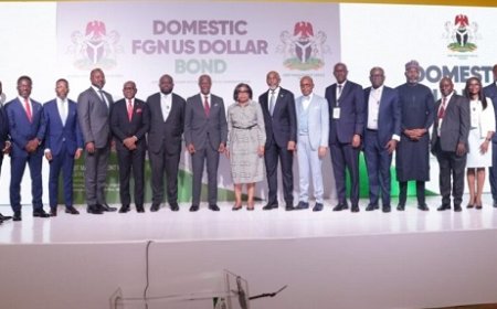 Investors take FGN $500m bond to oversubscription