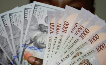 Naira shows recovery ahead of U.S. inflation data