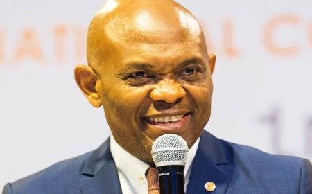 Regulatory costs threaten banking sector’s growth in Nigeria – Tony Elumelu