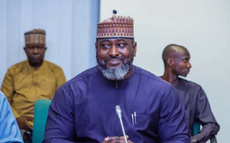 How govs spent $50bn excess crude funds – NESG