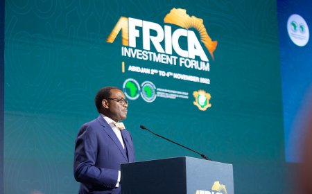 AfDB raises $2bn in new social bond issue