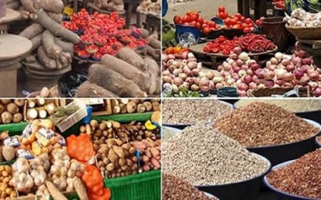 Govt, AfDB parley on food security, economy