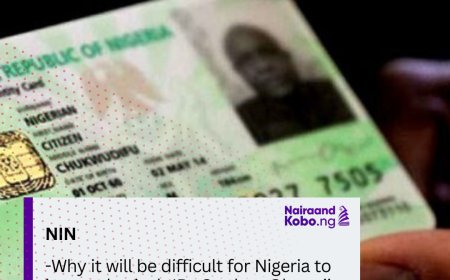 NIN: Why it will be difficult for Nigeria to issue physical ID Card – Olatunji Durodola