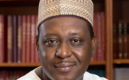 Federal government moves to decriminalise suicide attempts .