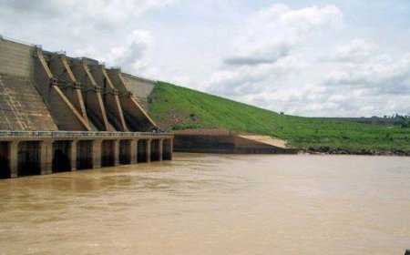 Lagdo dam: FG propose to build five buffer dams to contain incessant floodings