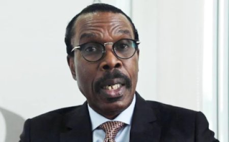 Nigerian economy to hit $400bn by 2026 – Rewane