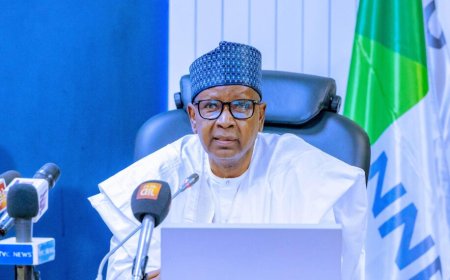 NNPC moves to revive $29.8 billion Brass, Olokola LNG projects