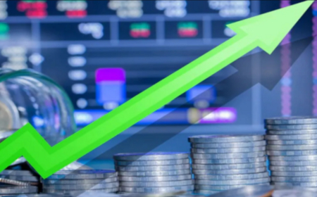 Fidson, Meyer, and Caverton lead gains as All-Share Index rises by 0.25%