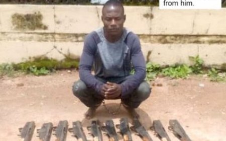Kaduna Police arrest notorious gunrunner, recover 20 AK-47 rifles