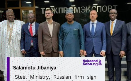 Steel ministry, Russian firm sign MoU for completion of Ajaokuta plant