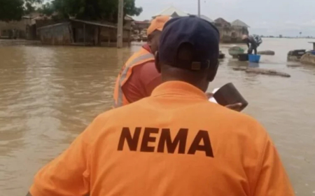 1m Affected, 94,741 Homeless, Farmlands Submerged by Flood – NEMA