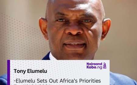Elumelu Sets Out Africa’s Priorities For UNGA 2024