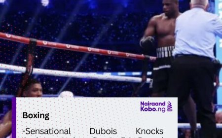 Sensational Dubois Knocks Anthony Joshua Out In 5th Round At Wembley Stadium