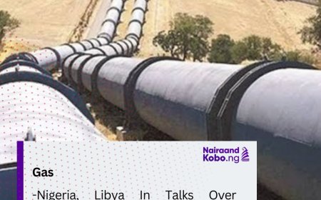 Nigeria, Libya In Talks Over 5,600km Regional Gas Pipeline Project