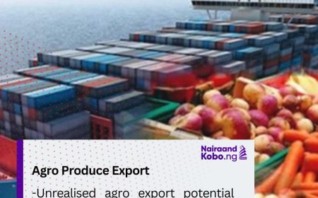 Unrealised agro export potential put at $3.1b
