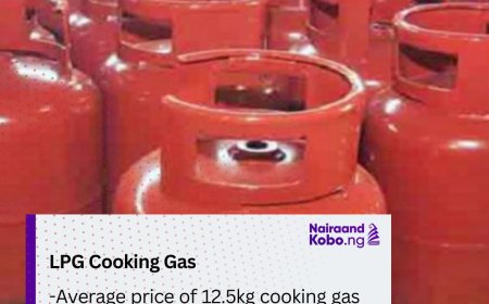 Average price of 12.5kg cooking gas hits N16,500 in Niger-Delta states, highest across Nigeria