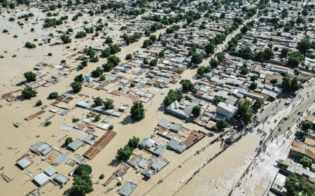 FEC approves establishment of disaster relief fund