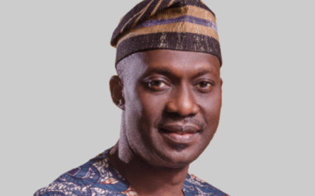 MAN DG to Tinubu: Direct MDAs to attract investment into manufacturing sector