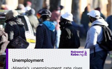 Nigeria’s unemployment rate rises to 5.3% in Q1 2024 as economic woes linger