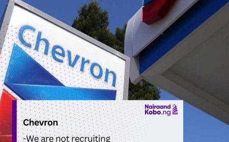We are not recruiting, says Chevron