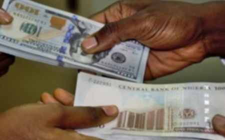 Naira closes at N1,667.42 in I&E window on September 25